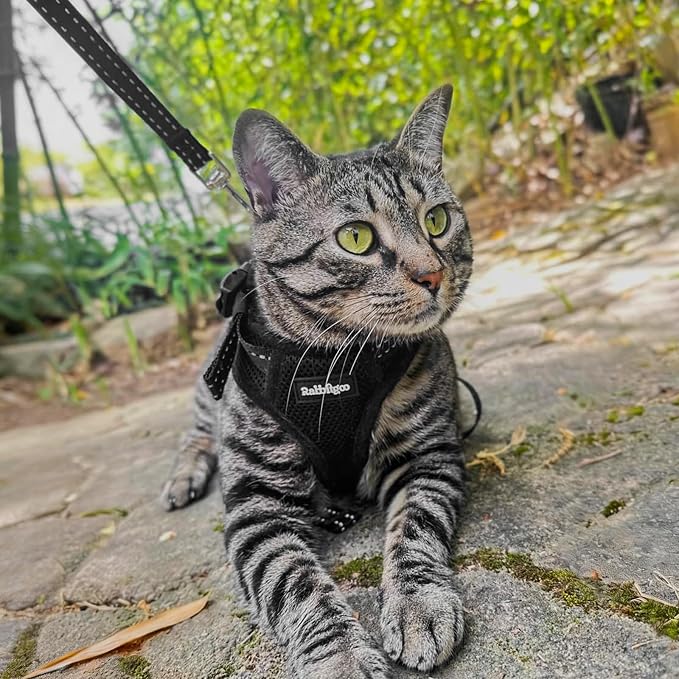 rabbitgoo Cat Harness and Leash, Easy-on with Neck Buckle, Black