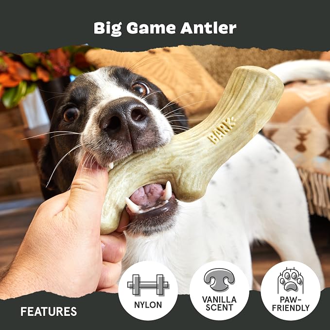 BarkBox Big Game Antler Super Chewer - Toy for Large Dogs | Durable Dog Toy for Aggressive Chewers - Vanilla Scented Dental Chew