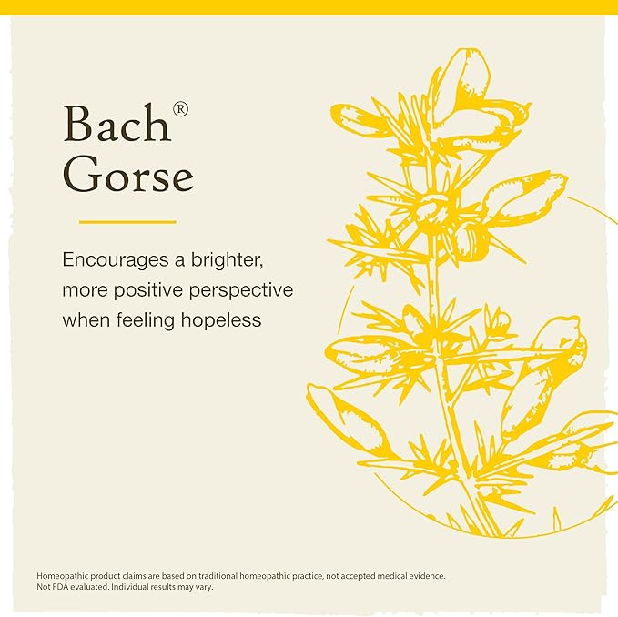 Bach Original Flower Remedies, Gorse - Have Hope - Natural Homeopathic Flower Essence for Emotional Balance - Vegan, Gluten Free, Sugar Free - 20mL Dropper