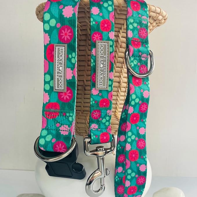 Lucky Love Dog Martingale Collar & Leash Set No Slip Cute – Penny, Small