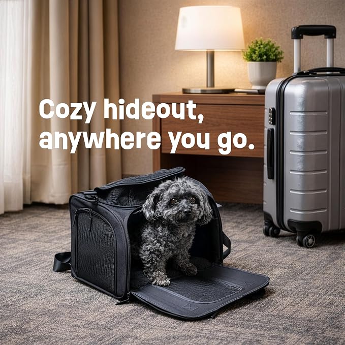 Airline-Approved Pet Carrier with Expandable Pop-Up Mesh Window, Waterproof Bottom & Plush Washable Pad (Black)