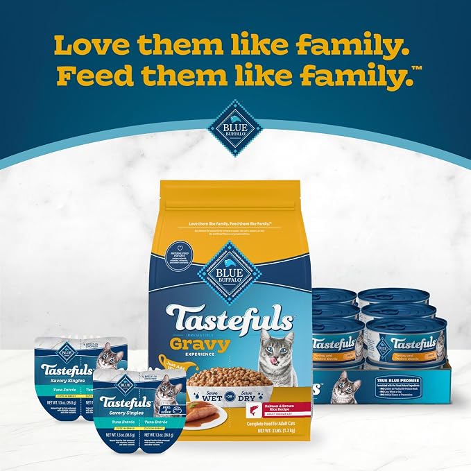 Blue Buffalo Tastefuls Irresistible Gravy Experience Salmon Cat Food, 7 lb | Adult Cat Salmon & Brown Rice Recipe, Add Warm Water for Real Gravy, Supports Digestion & Coat Health