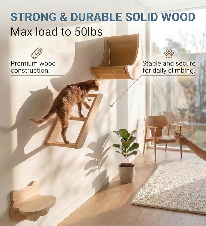 Cat Wall Shelves Set,Solid Wood Moon Bed,Perch & Stair for Climb and Rest | 3-in-1 Wall-Mounted Cat Furniture;16-Inch Stud Wall;Hold Up to 40 lb;Wall & Corner Setup;Vertical Territory & Active Exercise