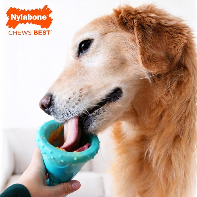 Nylabone Power Chew Party Hat Dog Treat Toy, Peanut Butter Flavor, Large