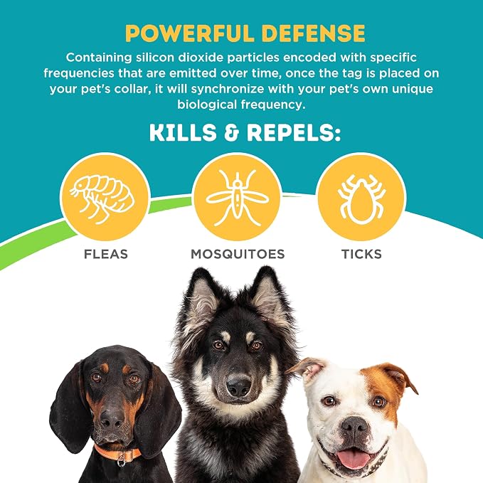 Only Natural Pet EasyDefense Tag – Lightweight, Collar Attachment for Dogs & Cats – Year-Round Wearable Protection and Comfort Accessory | Durable Design