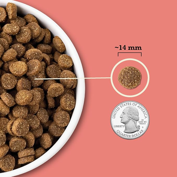 ACANA Wholesome Grains Dry Dog Food Red Meat & Grains 22.5lb Bag | Gluten Free, High Protein, Made in the USA, Includes Probiotics, Omega-3 Fatty Acids, Global Quality Ingredients