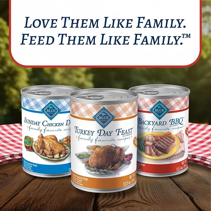 Blue Buffalo Family Favorites Turkey Adult Wet Dog Food, 12.5 oz, 12 ct | Turkey Day Feast Recipe, Real Turkey First, in Gravy, Feed as Treat, Topper, or Meal