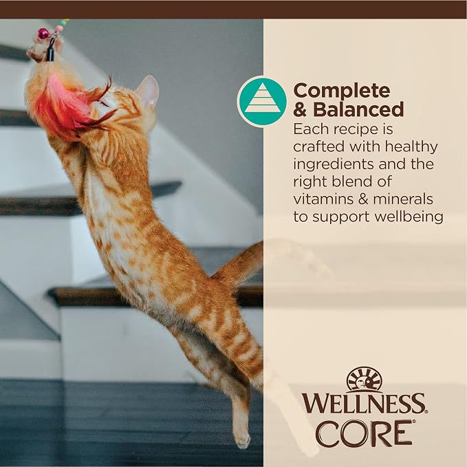 Wellness CORE Tiny Tasters Flaked Adult Wet Cat Food, Natural, Protein Rich, Grain Free, Tuna and Salmon Recipe, 1.75 oz, Pack of 12 Pouches