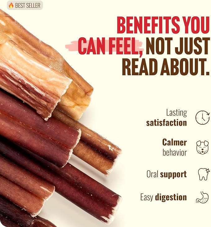 Natural Farm Odor Free Bully Sticks (2-3 Inch, 1 Pound) for Small & Medium Dogs - 100% Beef Chews for Pups, Non-GMO, Grain-Free, Fully Digestible Long Lasting Dog Treats (Pack of 3)