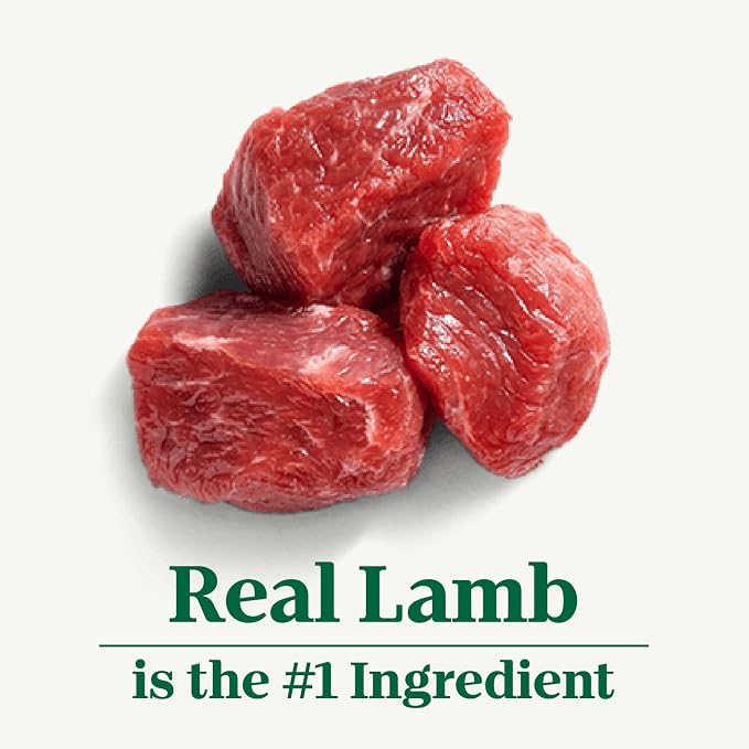 Nutro Hearty Stew Wet Dog Food, Meaty Lamb, 12.5 oz, 12 Pack | Grain-free, real lamb #1 ingredient, cuts in gravy, no corn, wheat, soy, made in USA facilities, canned dog food