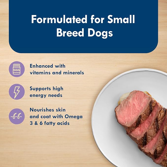 Blue Buffalo Delights Porterhouse Small Breed Wet Dog Food, 3.5 oz, 12 ct | Adult Formula, Grain-Free, Pate Style, Real Beef First, in Savory Juice, No Corn, Wheat, or Soy