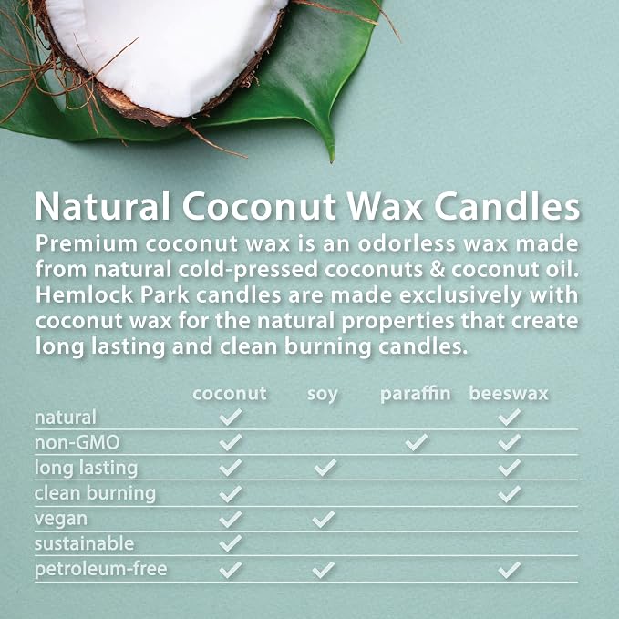 Hemlock Park Oud Forest Apothecary Scented Candle | Crackling Wood Wick, Botanical Fragrance & Coconut Apricot Wax | Up to 60 Hour Burn Time | 8 oz | Made in USA