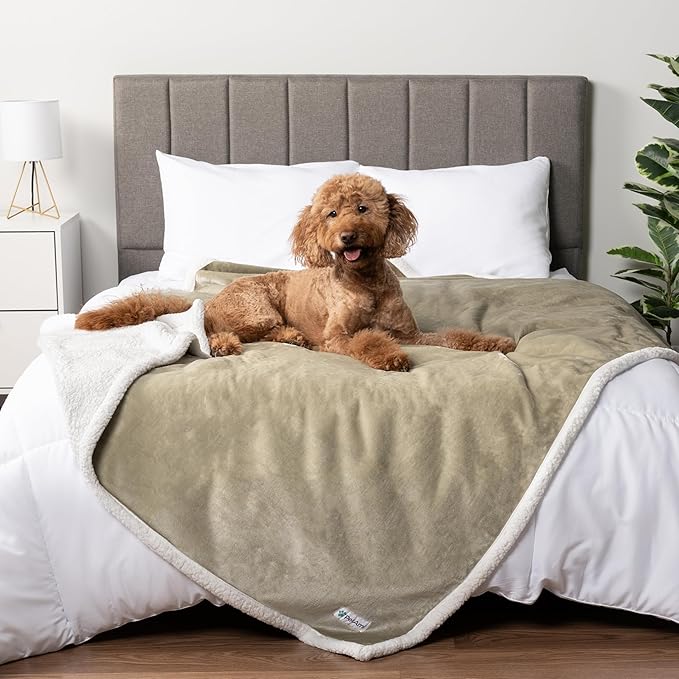 PetAmi Waterproof Dog Blanket for Large Dog Pet, 90x90 Queen, Taupe | 460 GSM Sherpa Fleece Reversible, Pee Proof Cat Blanket, Furniture Protector Cover for Bed Sofa Kennel, Washable, Queen Size