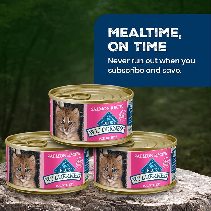 Blue Buffalo Wilderness Salmon Kitten Paté Wet Cat Food, 3 oz, 24 ct | High Protein, Real Salmon #1 Ingredient, Grain-Free Recipe, DHA for Cognitive Development, Helps Support Daily Hydration