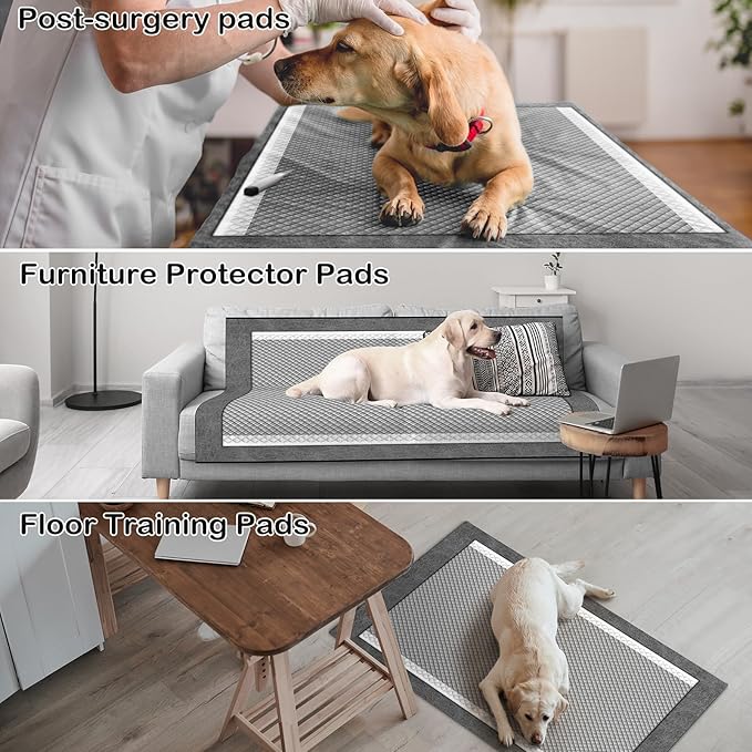 MIZOK Pee Pads for Dogs Charcoal Disposable No Leak for Puppy 23x24in 100Ct | Activated Carbon Odor Absorber, Super Absorbent Puppy Pads, Quick Dry Surface, Ideal for Indoor Pet Potty Training