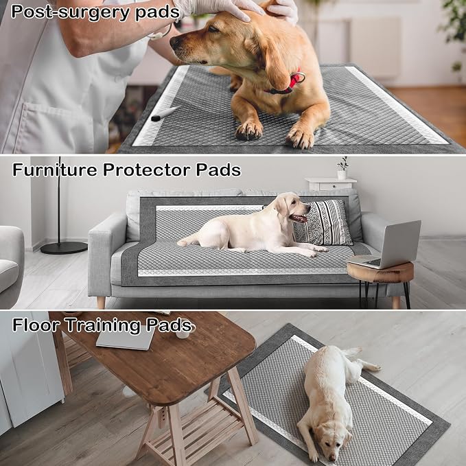 MIZOK Pee Pads for Dogs Charcoal Disposable No Leak XXL Large 36x36in 25Ct | Giant Dog Pee Pads, Activated Carbon Odor Control, Heavy Duty Floor Protection, Ideal for Multiple Pets or Big Breeds