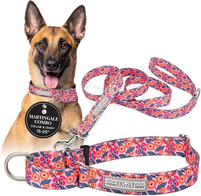 Lucky Love Dog Martingale Collar & Leash Set No Slip Cute – Rosie, Large