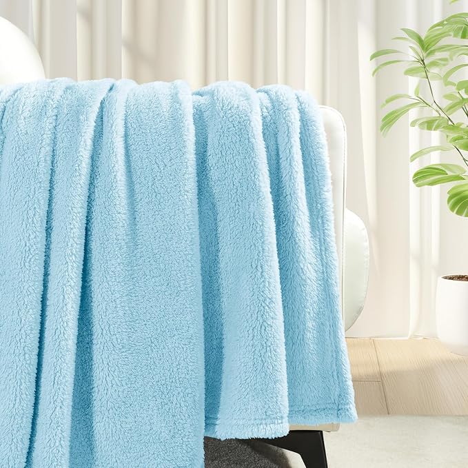 Exclusivo Mezcla Soft Plush Fleece Throws Blanket for Couch Sofa Bedroom | Lightweight Fuzzy Fluffy Blanket for All Seasons, Cozy Velvet Throws for Women Men, Machine Washable, 50"x60", Light Blue