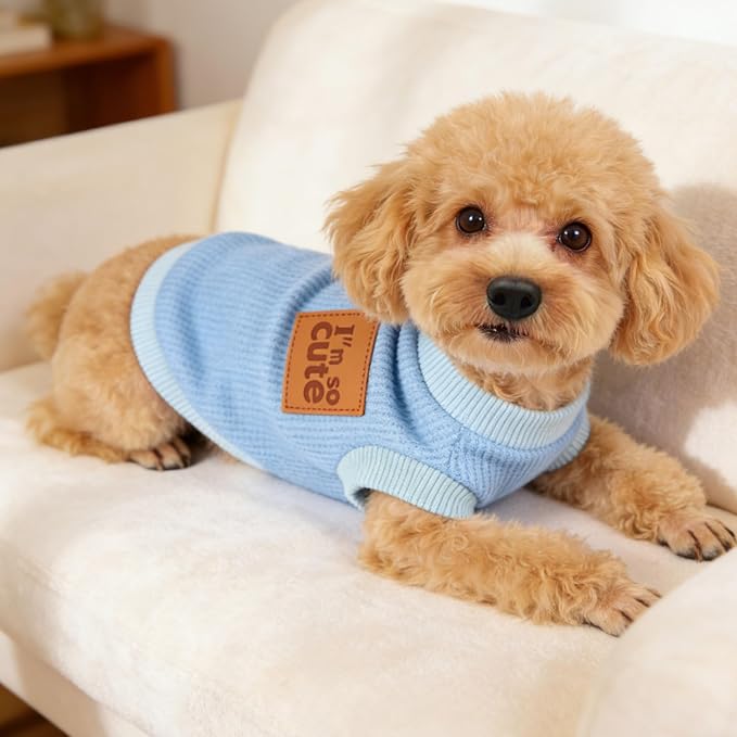 2 Pack Dog Shirt Vest Dog Clothes for Small Dogs Summer Waffle Puppy T-Shirts Soft Sleeveless Pet Clothes Lightweight Medium Large Doggy Outfit Cat Clothing (Blue+Grey, X-Small)