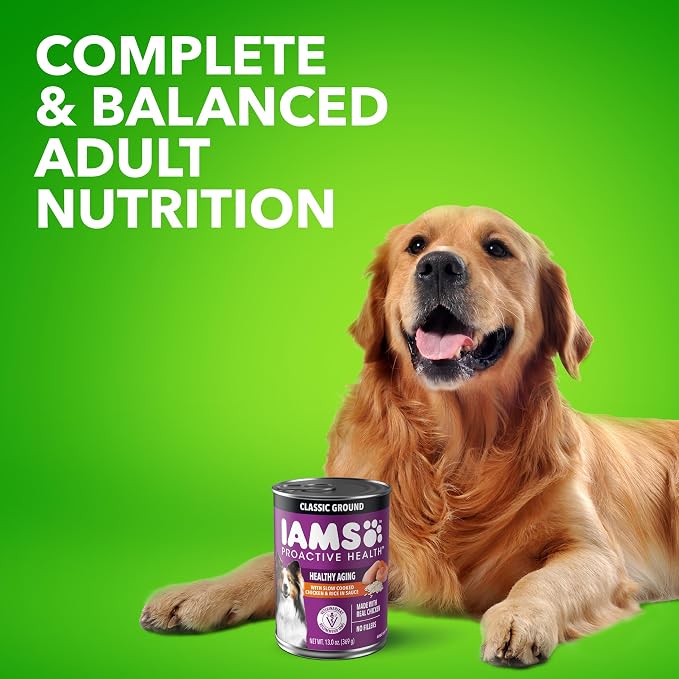 IAMS Proactive Health Senior Ground Wet Dog Food, Chicken, 13 oz, 12 Pack | Real chicken first ingredient, DHA Gold for mental & visual sharpness, glucosamine & chondroitin, boosts immune response