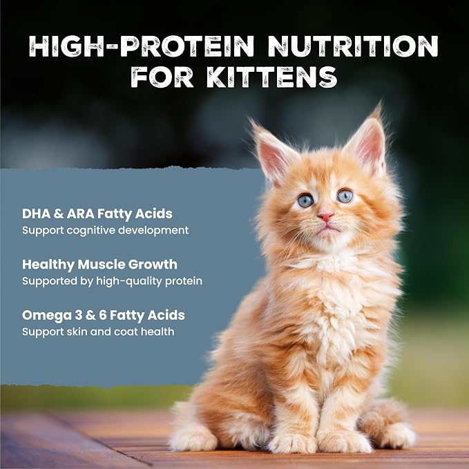 Blue Buffalo Wilderness Variety Pack Kitten Paté Wet Cat Food, 3 oz, 6 ct | High Protein, Chicken & Salmon Recipes (3 of Each), Grain-Free Recipe, DHA for Cognitive Development