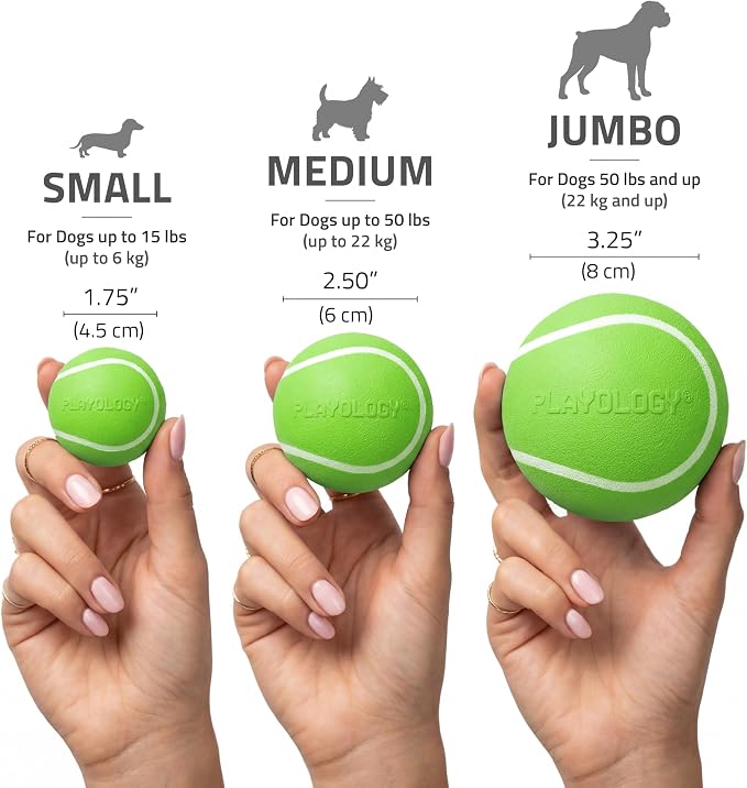 Playology Squeaky Chew Ball Dog Toy - Medium, Sweet Potato Scent
