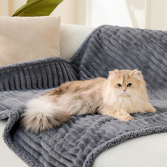 Waterproof Calming Cat Blanket for Indoor Cats, Noiseless Soft Plush Dog Blanket for Pets, 500GSM Thick Faux Fur Pet Throw, Couch Furniture Protector for Puppy, Charcoal Grey, 25x30IN