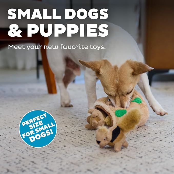 Outward Hound Squeakin' Squirrels Plush Squeaky Dog Toys, 3-Pack, 7"
