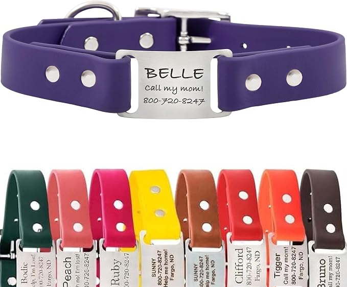 dogIDs Personalized Dog Collar – ScruffTag Custom Waterproof Biothane Dog Collar with Laser-Engraved Name, Durable & Odor-Resistant – USA Made | Purple, 5/8 in x 12 in (Fits Neck Sizes 11-13 in)