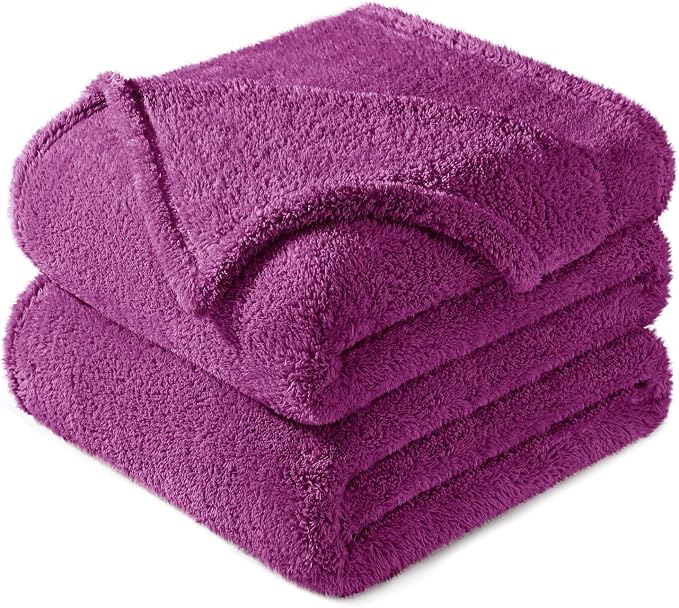 Exclusivo Mezcla Soft Plush Fleece Twin Size Blankets for Bed Living Room | Lightweight Fuzzy Fluffy Large Blanket for All Seasons, Cozy Velvet for Women Men, Machine Washable, 60"x80", Purple
