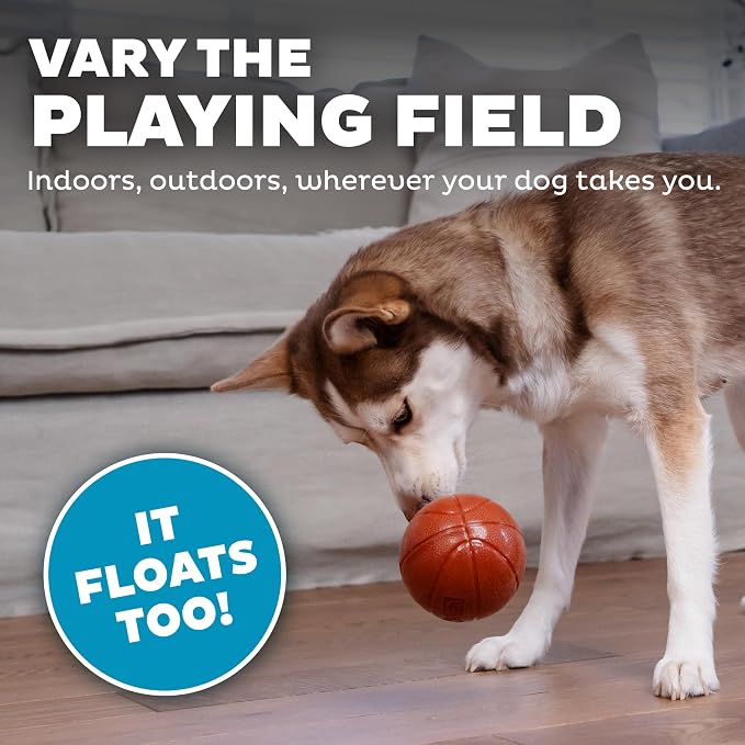 Outward Hound by Planet Dog Basketball, Durable Treat-Dispensing Dog Ball, Interactive Fetch Toy, Orbee-Tuff, Mint Scented, BPA-Free, for Indoor & Outdoor Play, Brown