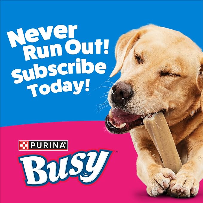 Purina Busy Bone Adult Large Dog Chew Treats, Original, 6 ct Pouch | Rawhide free chew with a real meat center for dogs 35+ lbs, long lasting chew that helps clean teeth