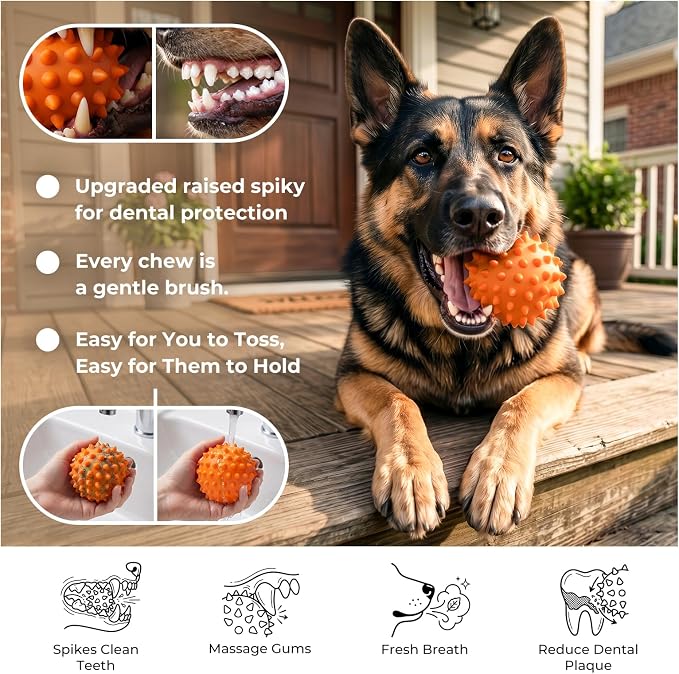 Peanut Butter Flavored 2 Pack 3.5'' Squeaky Ball for Dogs, 25-80lbs