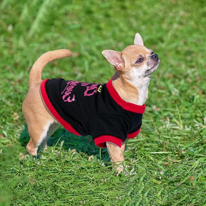 4 Pieces Dog Clothes Spring Summer Dog Shirts Cute Pattern Soft Breathable Pet T-Shirt Outfit Puppy Clothes for Small Dogs Girl and Cat (Small)