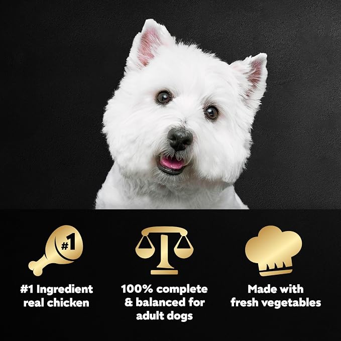 Cesar Wholesome Bowls Wet Dog Food, Chicken & Green Beans, 3 oz, 10 Count | Real chicken #1 ingredient, slow-cooked, 10 key ingredients, no by-products or artificial flavors, easy to digest