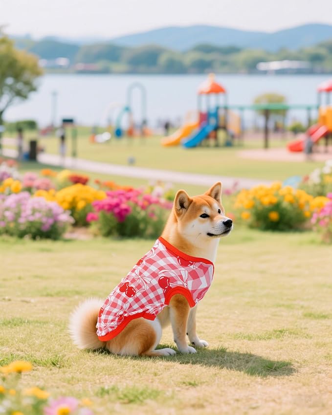 PET SHOW 4 Pack Dog Shirts for Small Medium Dogs Female Tank Top Tee Red Pink T-Shirts Pets Sleeveless Vest Girl Dog Clothes(XX-Large)