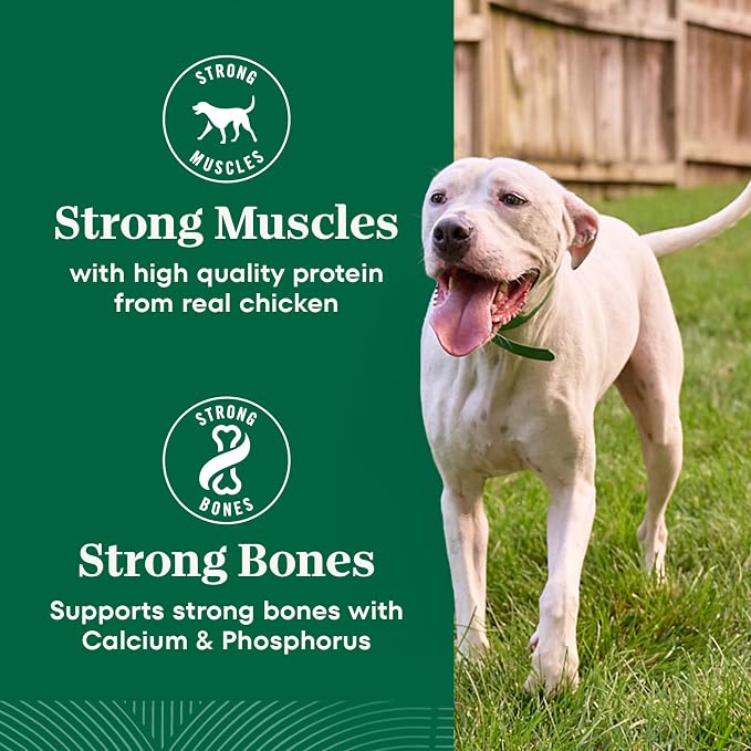 Nutro Natural Choice Large Breed Adult Dry Dog Food, Chicken & Rice, 36 lb | Real chicken #1 ingredient, non-GMO, made in USA, no corn, wheat, soy, supports joints, digestion, immunity, skin & coat
