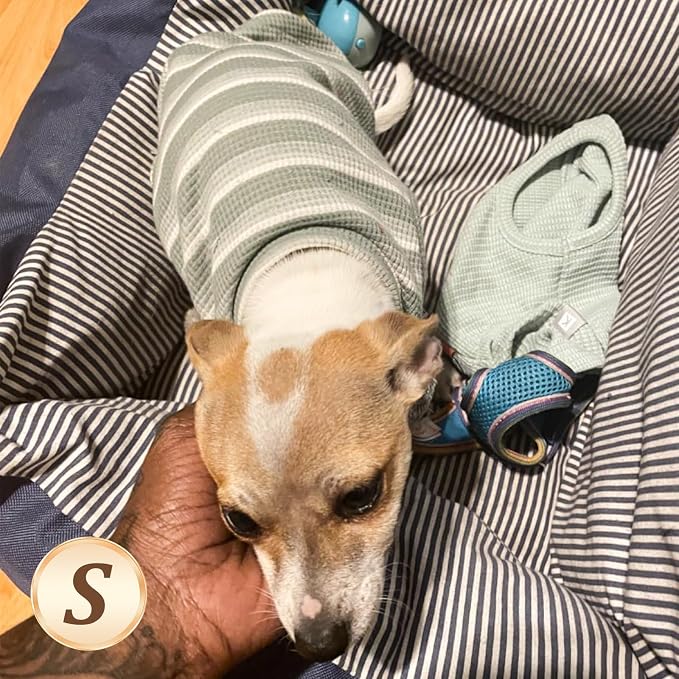 KYEESE 2Pack Waffle Dog Shirt for Small Dogs Striped Dog Sweater Tank Top | Cozy Warmth, Lightweight & Breathable, Gentle on Sensitive Skin, Stretchy & Free to Move, Comfortable Daily Wear
