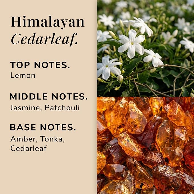 Himalayan Cedarleaf Aromatherapy Candle – Lemon, Patchouli & Cedarleaf Scented Candle, Plant-Based Wax, 15.8 oz, 60 Hour Burn Time, Warm & Woody Candle