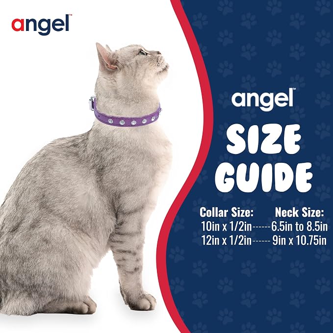 Athens Cat Collar, Leather Kitten Collar w/Rhinestones, Sturdy Breakaway Cat Collar with Bell & Elastic Stretch, Cat Accessories, Orchid Purple, 12 x ½ inches - Angel Pet Supplies