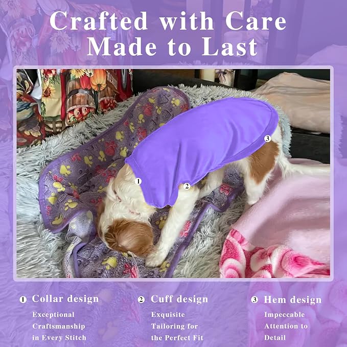 2 Pack Solid Color Dog Shirts – Lightweight, Breathable Pet T-Shirts, Durable Stretchy Clothes for Small to Large Dogs, Ideal for Everyday Wear & Holidays.Green Purple Medium