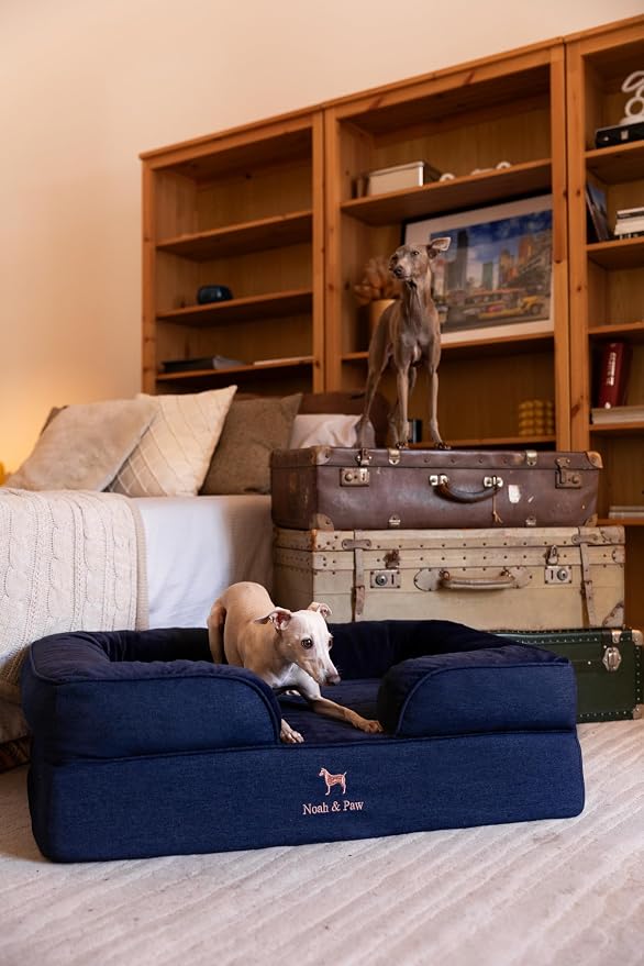 NOAH & PAW Large Dog Bed, 35x25x11 Inch, Orthopedic Dog Beds, Eggshell Memory Foam Infused with Cooling Gel, Inner Cover, Water Resistant, Machine Washable (Denim Sofa Collection)