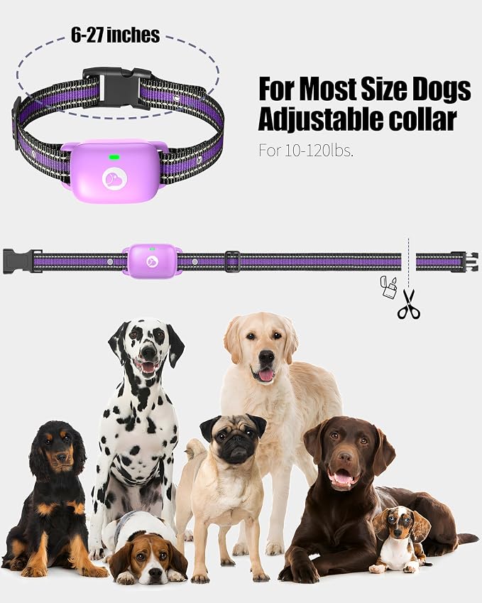 Shock Collar for Dogs 2 Pack,2600FT Dog Training Collar with Remote