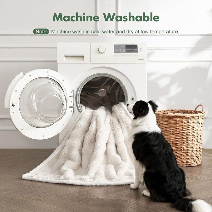 Soft Cozy Waterproof Dog Blanket for Couch - Room Decor Medium Pet Blanket for Furniture Protector, Washable Dog Crate Blankets for Indoors & Outdoors, Cream, 30"x40"
