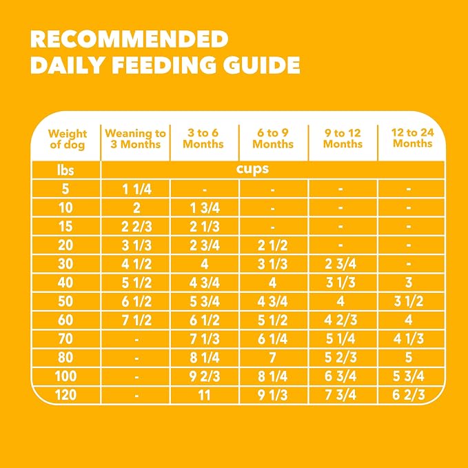 IAMS Proactive Health Large Breed Puppy Dry Dog Food, Chicken, 30.6 lb | Real chicken #1 ingredient, Omega-3 DHA for cognitive & vision development, optimal calcium for bones & joints, Vitamin E