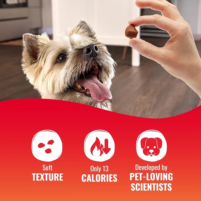 Good 'n' Tasty Kabob Bites Soft & Chewy Dog Treat with Real Protein, 18 oz | Premium Chicken, Duck and Chicken Liver, Bite-Size Treat for Quick Rewards, No Artificial Flavors or Colors, For Adult Dogs