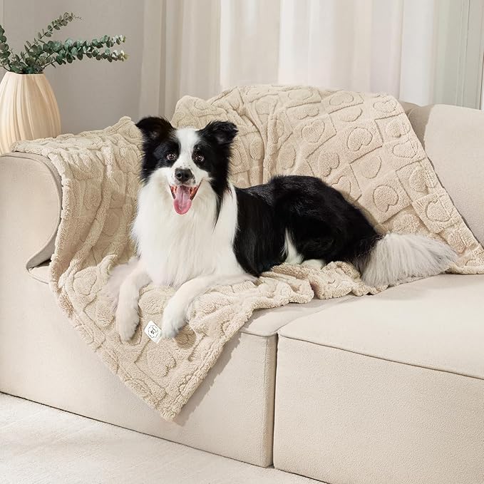 Luciphia Small Dog Blanket Washable Pet Bed Cover Soft Fluffy Puppy Blanket with Premium Fleece 300GSM Cozy Calming Cat Blankets for Indoor Cats Beige 41x31 inch | Pink Blanket Washable for Medium/Large Dogs, Cute Cover on Bed Couch Crate Car, Puppy Es...