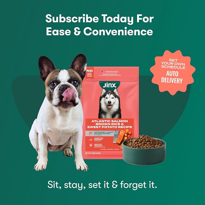 Jinx Dry Dog Food - Real Salmon, Brown Rice & Sweet Potato, 4lb | Premium Kibble for Digestive Support & Healthy Immunity - No Fillers, All Lifestages (Puppy, Adult & Senior), Breeds & Sizes