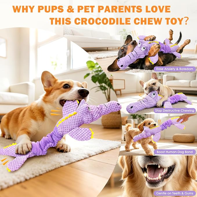 WOWBALA Squeaky Dog Toys for Puppy to Medium Breeds