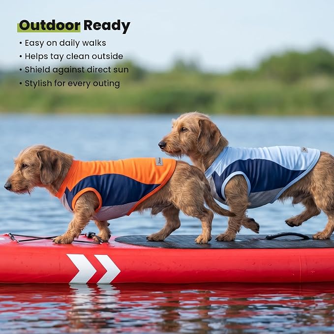Fitwarm 2 Pack UPF 50+ UV Sun Protection Dog Shirt, Quick Dry Summer Dog Clothes for Small Dogs Boy Girl, Reflective Label, Lightweight Breathable Cooling Vest, Pet Cat Outfit, Orange, Blue, XS